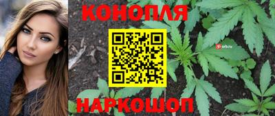 Альфа ПВП Ливны